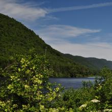 Canada2017_0002__DSC_0005