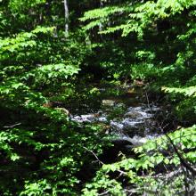 Canada2017_0025__DSC_0028