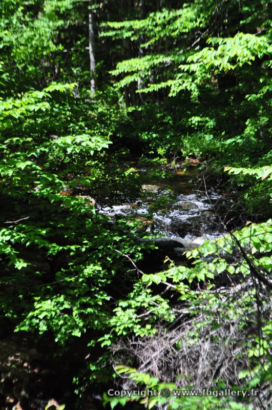 Canada2017_0025__DSC_0028