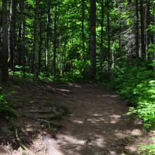 Canada2017_0028__DSC_0031