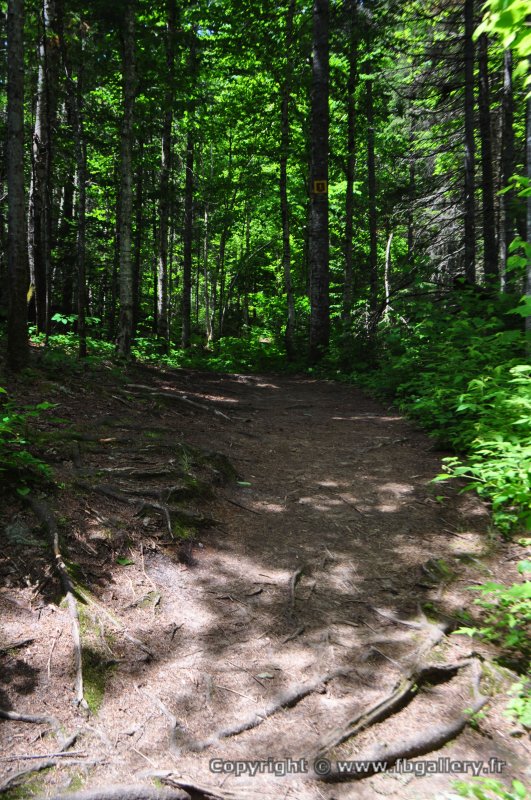 Canada2017_0028__DSC_0031