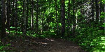 01-Parc_jacques_cartier