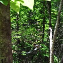 Canada2017_0030__DSC_0033