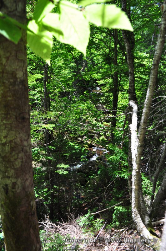 Canada2017_0030__DSC_0033