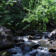 Canada2017_0032__DSC_0035
