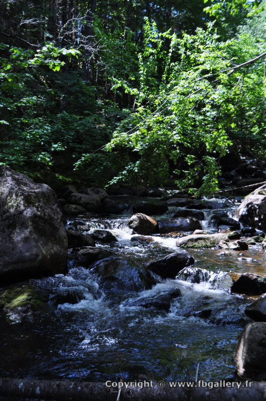 Canada2017_0032__DSC_0035