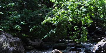 01-Parc_jacques_cartier