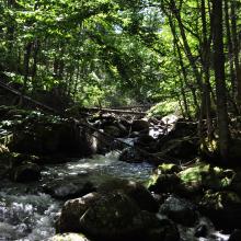 Canada2017_0035__DSC_0038