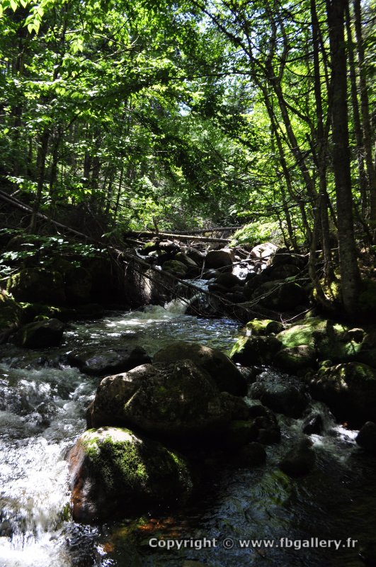 Canada2017_0035__DSC_0038