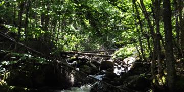 01-Parc_jacques_cartier