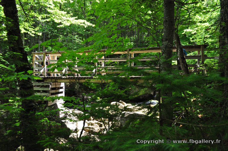 Canada2017_0040__DSC_0043