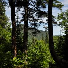 Canada2017_0044__DSC_0047