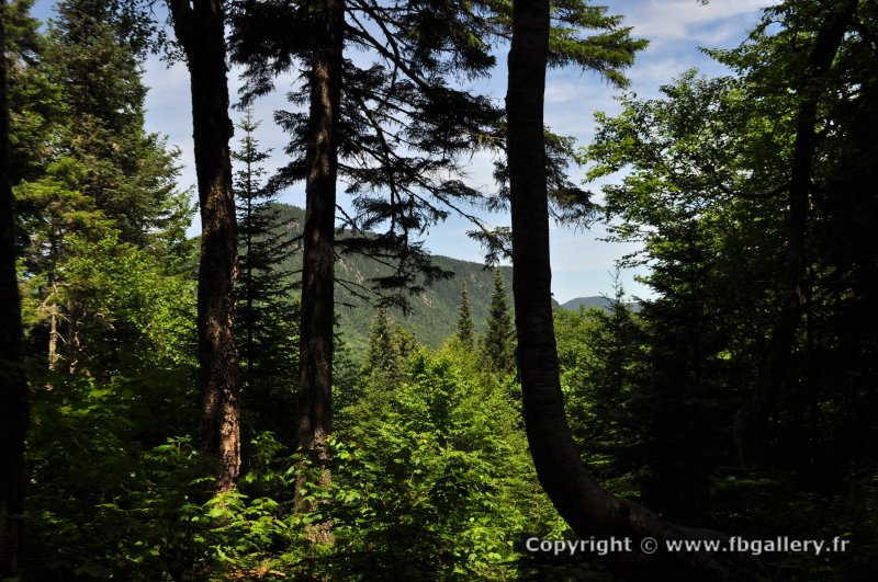 Canada2017_0044__DSC_0047