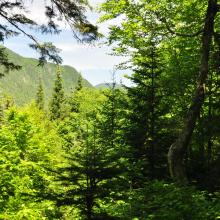 Canada2017_0045__DSC_0048