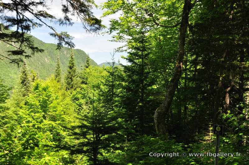 Canada2017_0045__DSC_0048