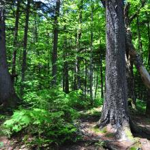 Canada2017_0046__DSC_0049