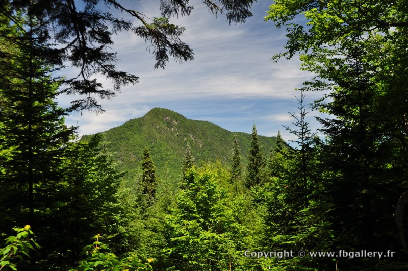 Canada2017_0047__DSC_0050