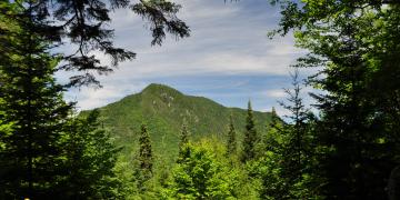 01-Parc_jacques_cartier