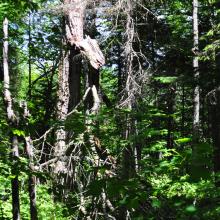 Canada2017_0048__DSC_0051