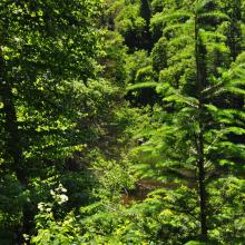 Canada2017_0057__DSC_0060