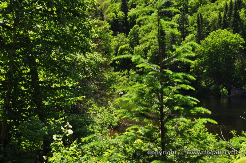 Canada2017_0057__DSC_0060