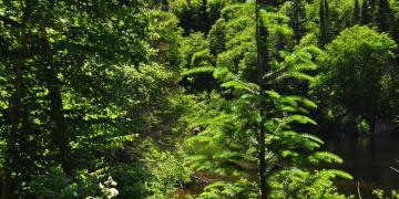 01-Parc_jacques_cartier