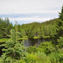 Canada2017_0061__DSC_0064
