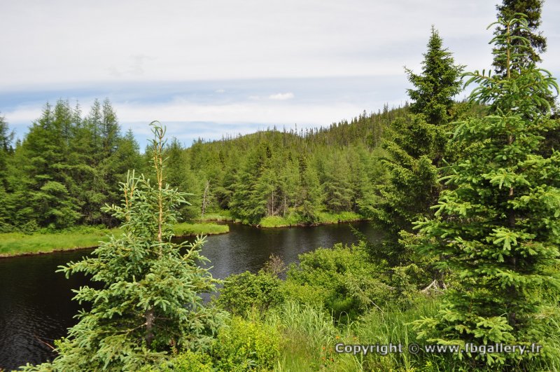 Canada2017_0061__DSC_0064