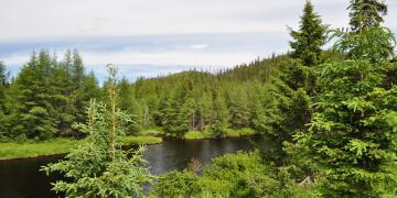 01-Parc_jacques_cartier