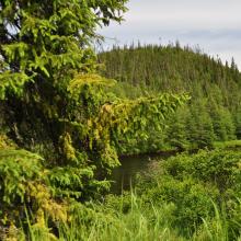 Canada2017_0063__DSC_0066