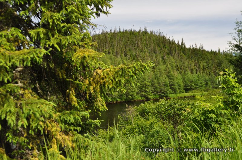 Canada2017_0063__DSC_0066