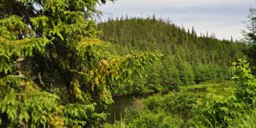 01-Parc_jacques_cartier