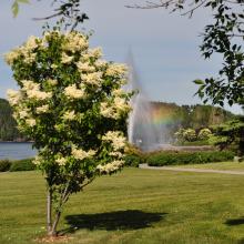 Canada2017_0075__DSC_0078