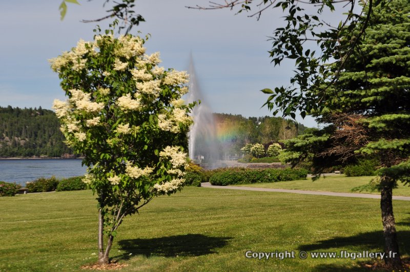 Canada2017_0075__DSC_0078
