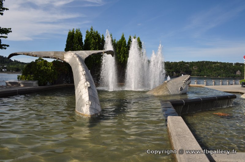 Canada2017_0090__DSC_0093