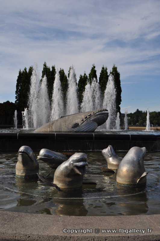 Canada2017_0091__DSC_0094