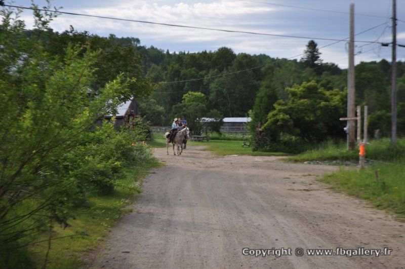 Canada2017_0099__DSC_0102