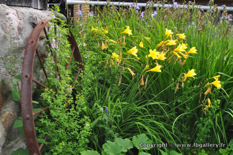 Canada2017_0103__DSC_0106
