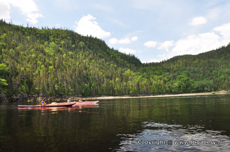 Canada2017_0129__DSC_0132