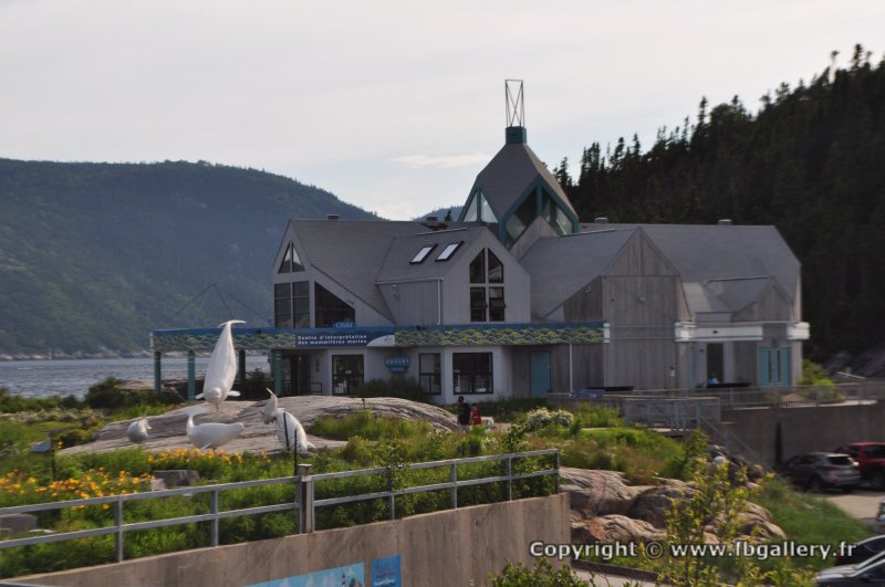 Canada2017_0200__DSC_0206
