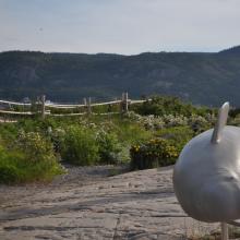 Canada2017_0203__DSC_0210