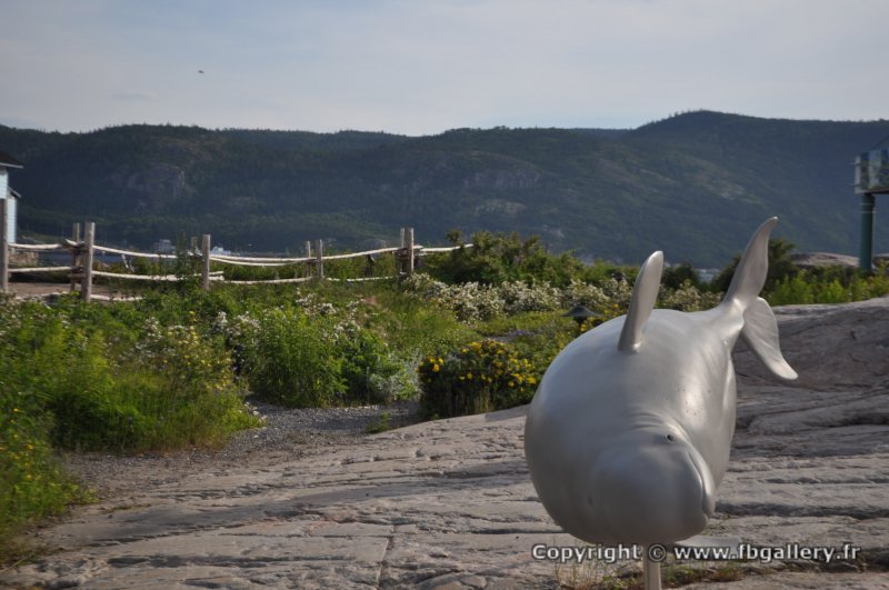 Canada2017_0203__DSC_0210