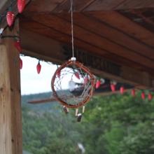 Canada2017_0224__DSC_0233