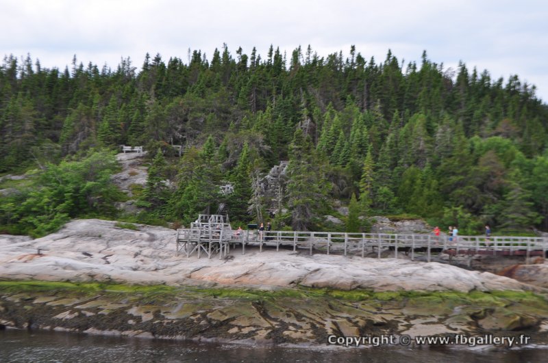 Canada2017_0229__DSC_0239