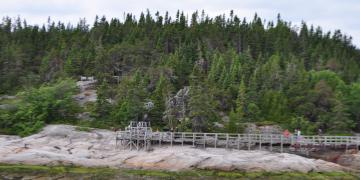 06-Croisiere_baleines