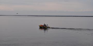 06-Croisiere_baleines