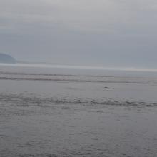 Canada2017_0255__DSC_0269