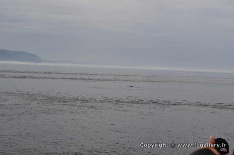 Canada2017_0255__DSC_0269