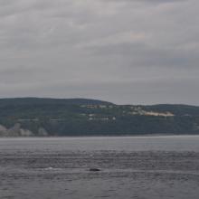 Canada2017_0257__DSC_0272