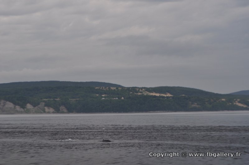 Canada2017_0257__DSC_0272